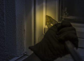 Μια ασύλληπτη ιδέα ώστε να δρα ανενόχλητος: Διαρρήκτης χειρουργήθηκε για να...