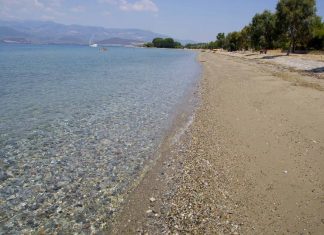 Σε παραλία της... Εύβοιας βγήκε τούρκικο πλοίο: Τι συνέβη (Φωτο)