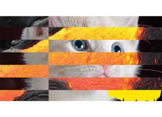 Η 6η Μπιενάλε της Αθήνας ανοίγει τις πύλες της