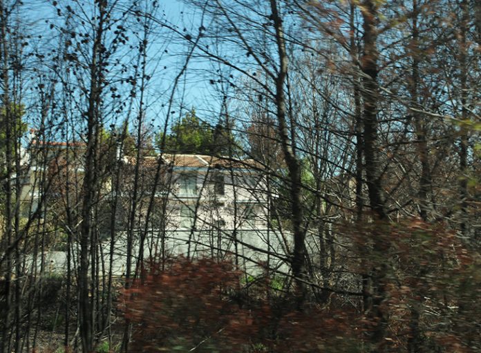 Έρευνα Ζαγοραίου: Εντόπισε νέα αποκαλυπτικά στοιχεία για τη φωτιά στο Μάτι