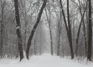 Σφοδρή χιονόπτωση στην Πάρνηθα: Δείτε σε ποιες περιοχές το "έστρωσε"