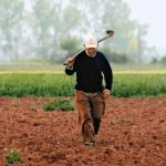 Δωρεάν εκπαιδευτικό πρόγραμμα για αγρότες Δωρεάν εκπαιδευτικό πρόγραμμα για αγρότες