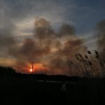 Σε ύφεση η μεγάλη πυρκαγιά στο δάσος της Στροφυλιάς – Στη «μάχη» και δύο καναντέρ (video) Σε ύφεση η μεγάλη πυρκαγιά στο δάσος της Στροφυλιάς – Στη «μάχη» και δύο καναντέρ