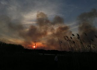 Σε ύφεση η μεγάλη πυρκαγιά στο δάσος της Στροφυλιάς – Στη «μάχη» και δύο καναντέρ