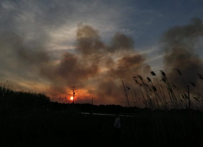 Σε ύφεση η μεγάλη πυρκαγιά στο δάσος της Στροφυλιάς – Στη «μάχη» και δύο καναντέρ