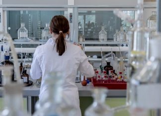 Ο μέσος άνθρωπος τρώει έως 121.000 μικροπλαστικά σωματίδια τον χρόνο