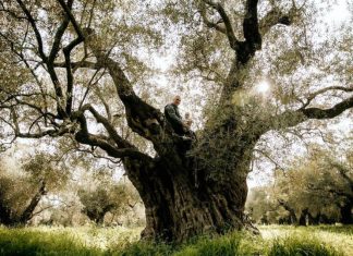 Ο πολυβραβευμένος Κύκλωπας από τον Έβρο
