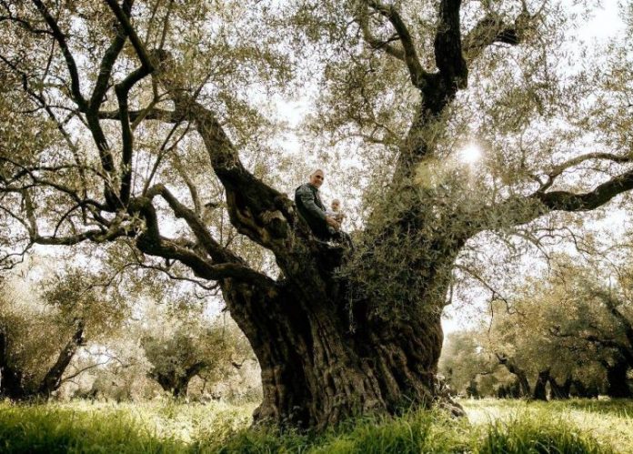 Ο πολυβραβευμένος Κύκλωπας από τον Έβρο