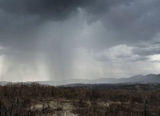 Αυστραλία: Ισχυρές βροχοπτώσεις σβήνουν τις καταστροφικές πυρκαγιές